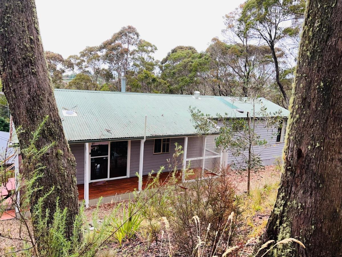Katoomba Hideaway - Free Wifi, Netflix, Disney Plus المظهر الخارجي الصورة